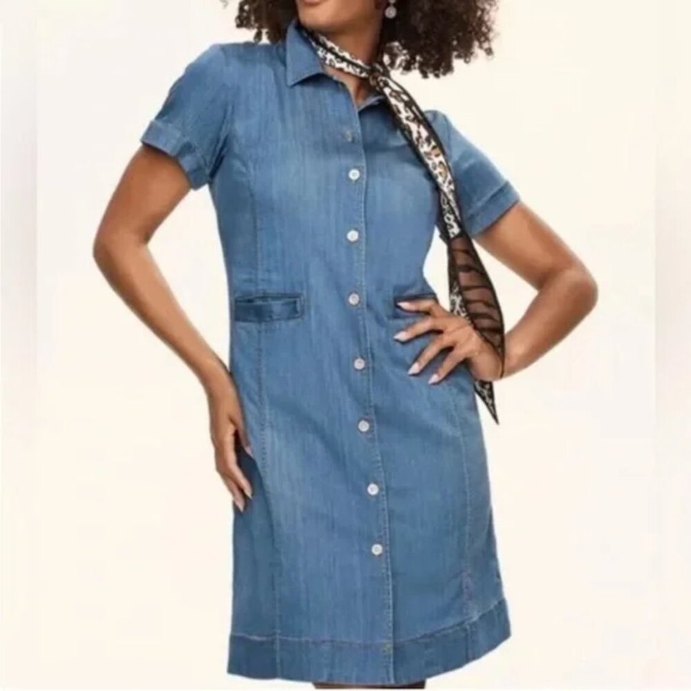 CAbi Piece of Cake Chambray Dress Size S